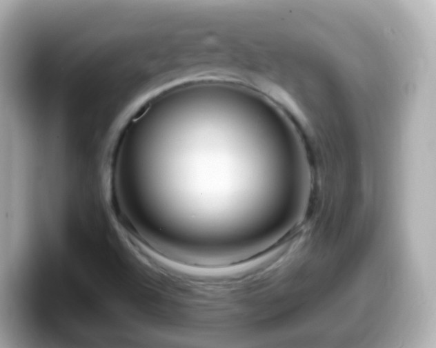 X0000099571504200805231521