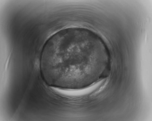 X0000099571505200805231521