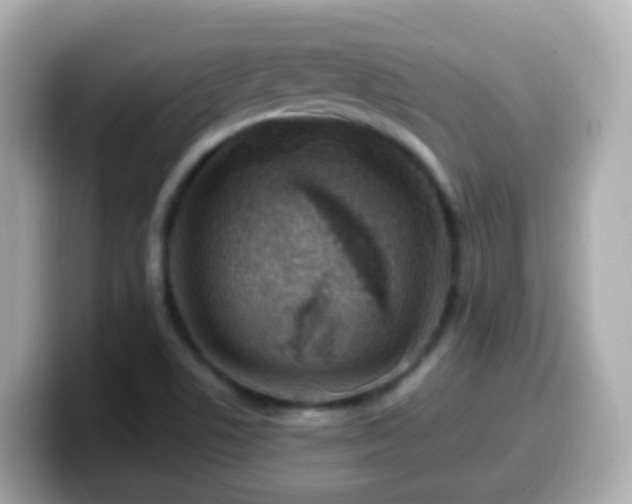 X0000099571506200805231521