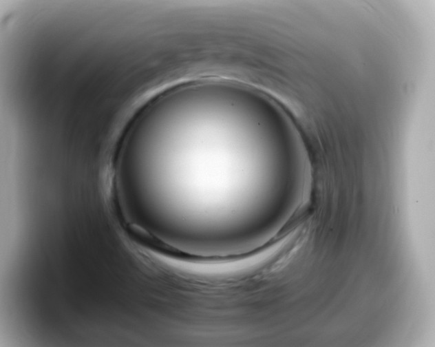 X0000099571507200805231521