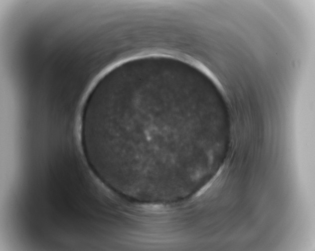 X0000099571508200805231521