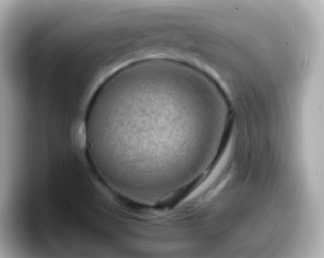 X0000099571509200805231521