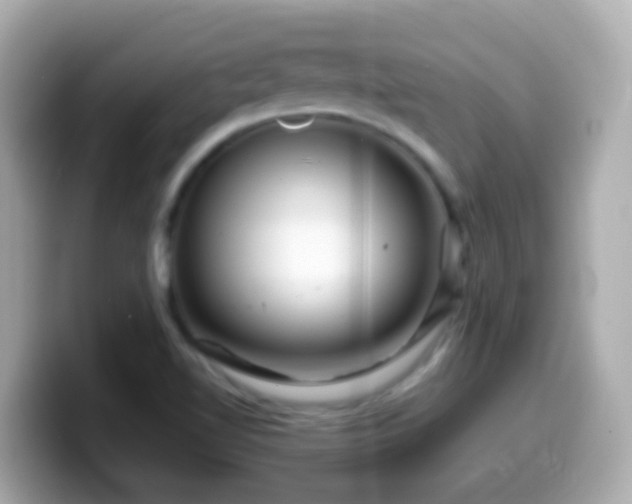 X0000099571510200805231521