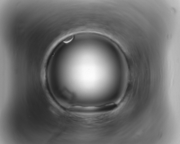 X0000099571511200805231521