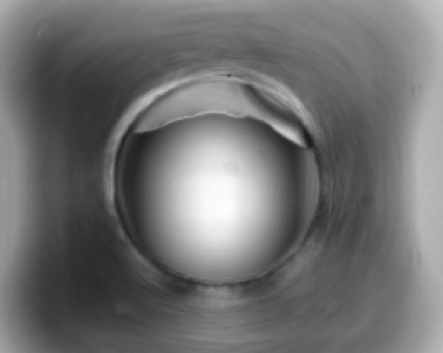 X0000099571512200805231521