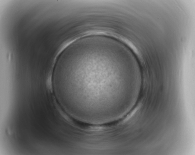 X0000099571513200805231521