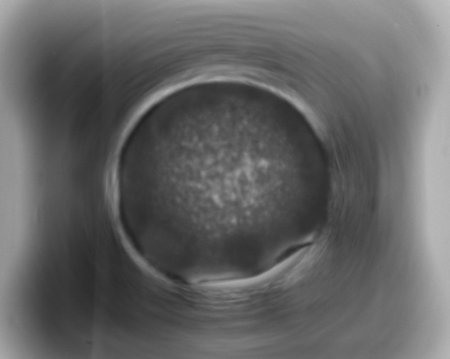 X0000099571515200805231521