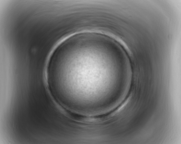 X0000099571517200805231522