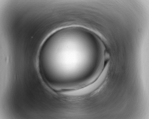 X0000099571518200805231522