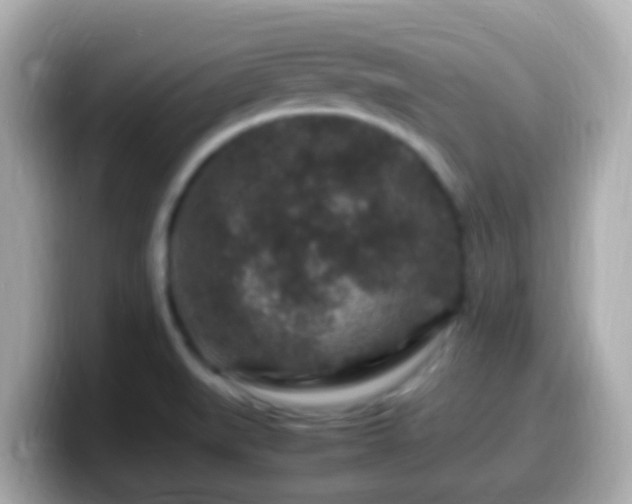 X0000099571519200805231522