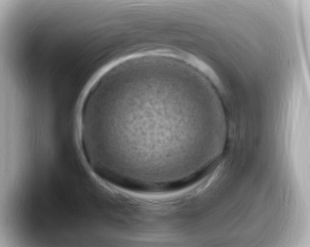 X0000099571520200805231522