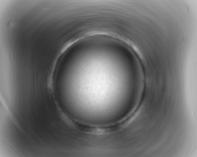 X0000099571521200805231522