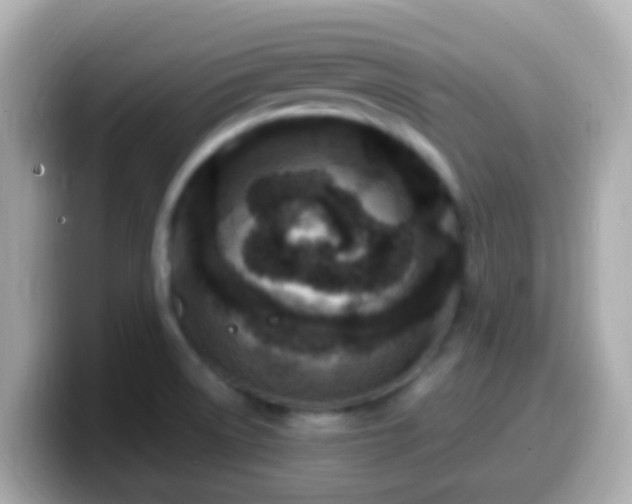 X0000099571522200805231522