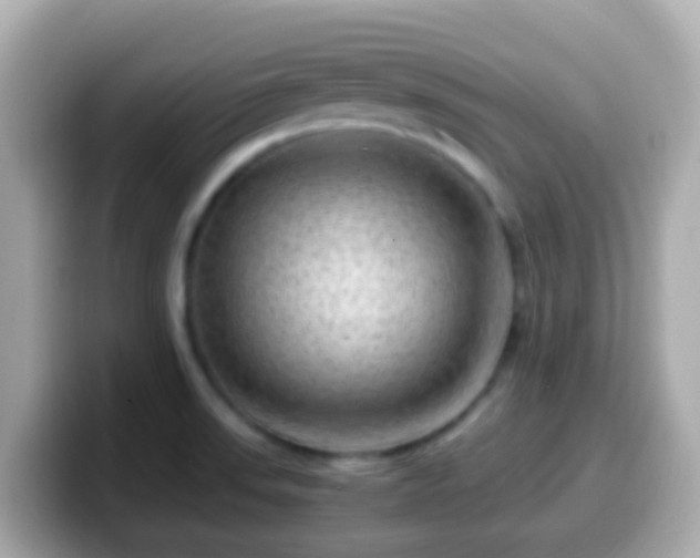 X0000099571523200805231522