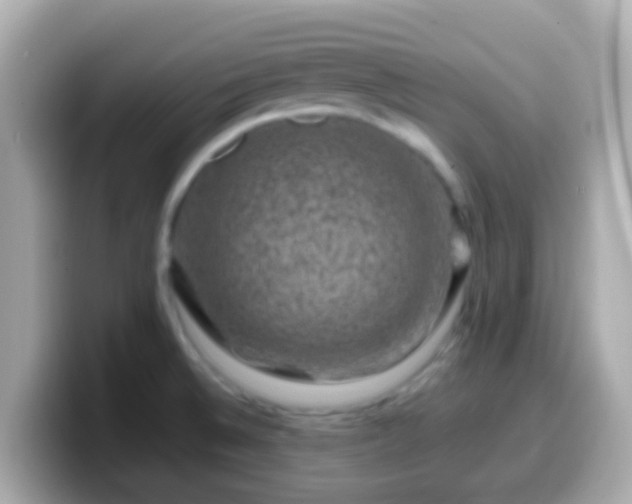 X0000099571524200805231522