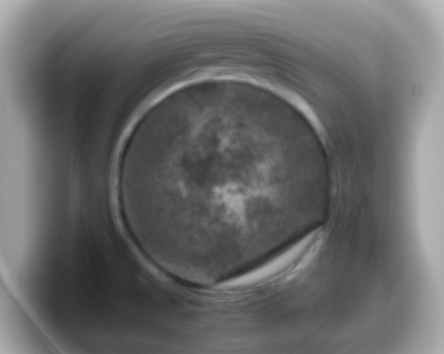 X0000099571525200805231522