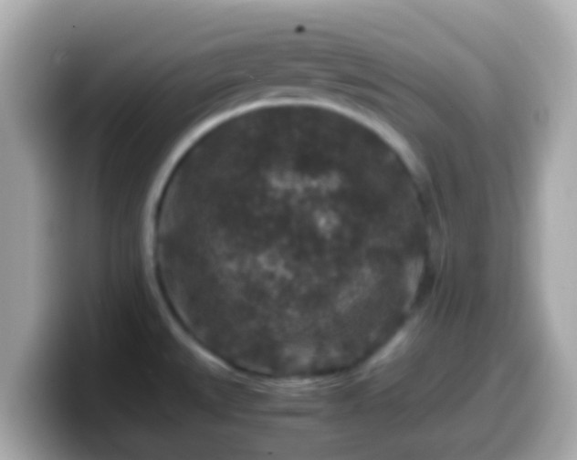 X0000099571527200805231522