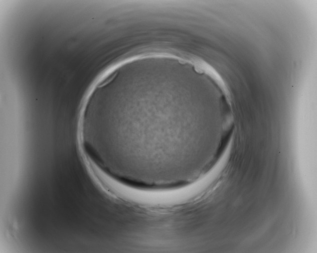 X0000099571528200805231522