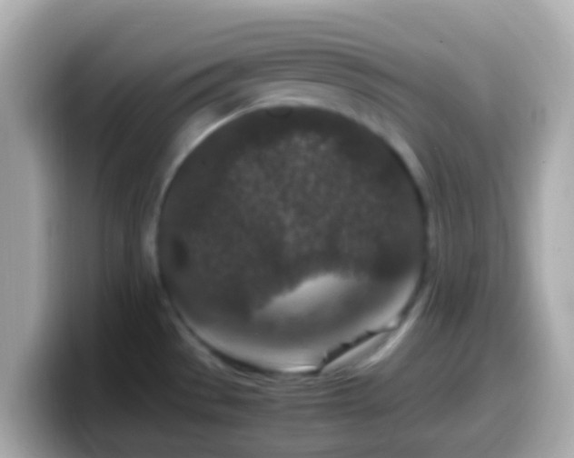 X0000099571529200805231522