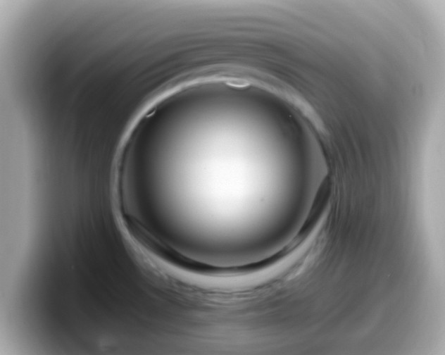 X0000099571530200805231522