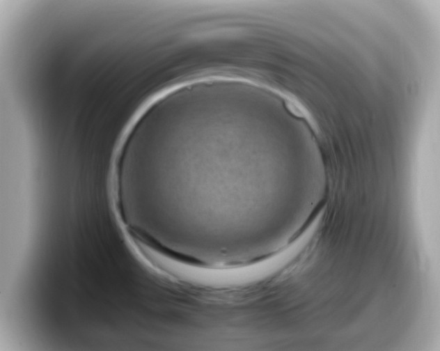 X0000099571531200805231522