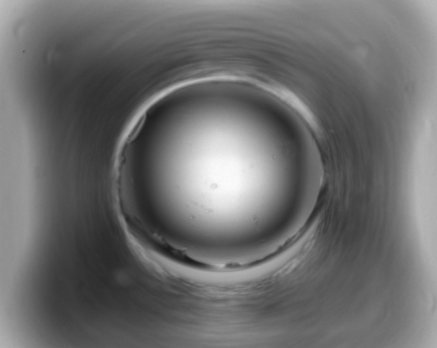 X0000099571532200805231522