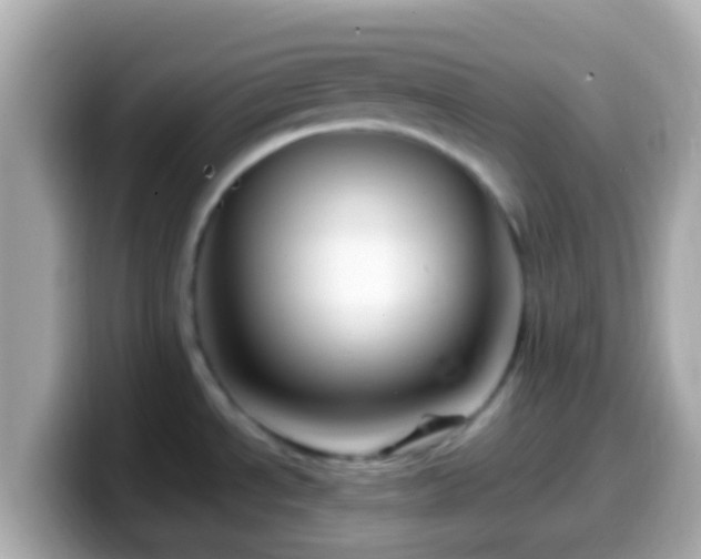 X0000099571534200805231522