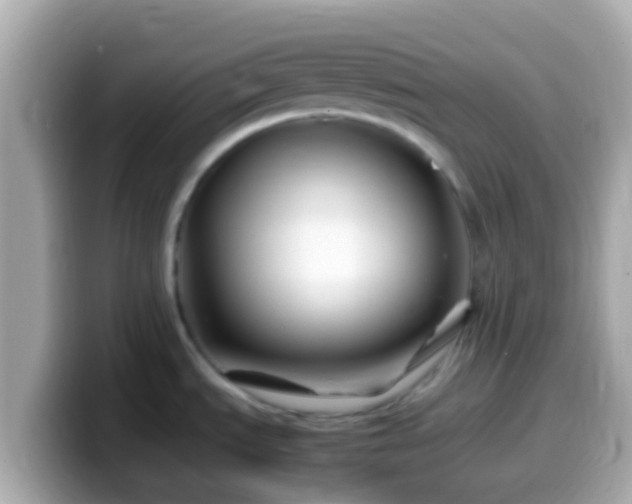 X0000099571535200805231522