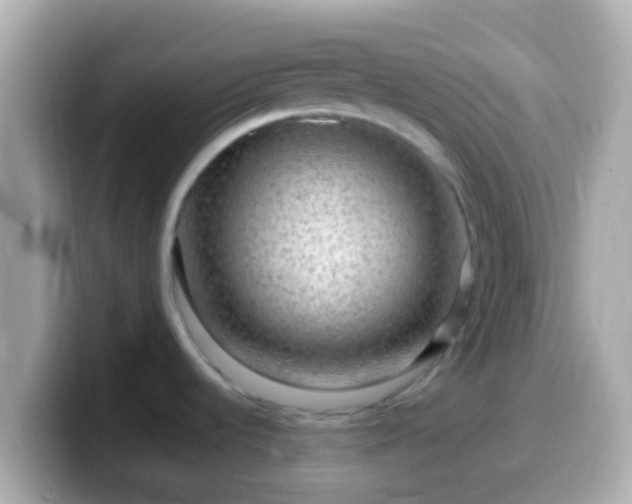 X0000099571536200805231522