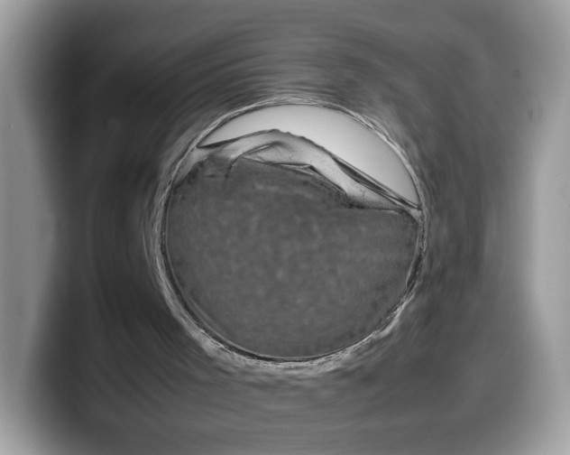 X0000099570001200805301549