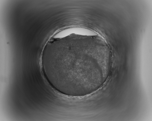 X0000099570002200805301549