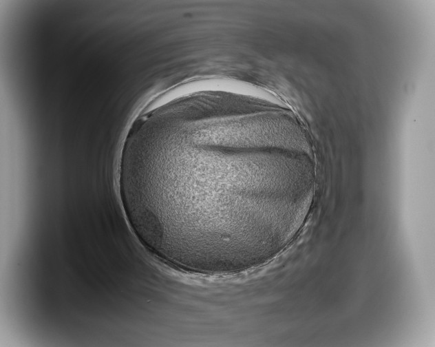 X0000099570003200805301549