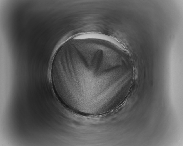 X0000099570004200805301549