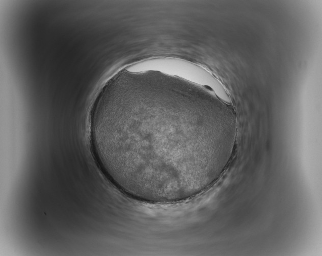 X0000099570005200805301549