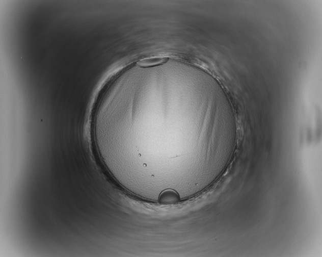 X0000099570006200805301549