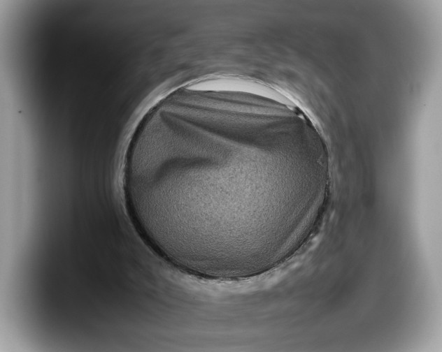 X0000099570007200805301549