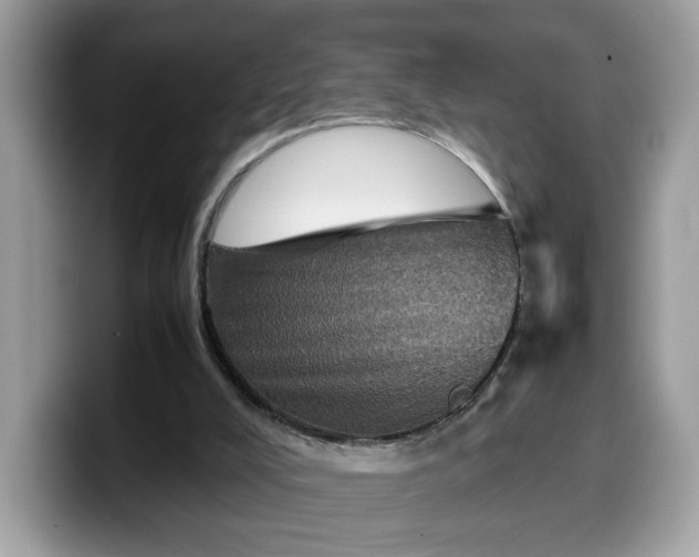 X0000099570008200805301549