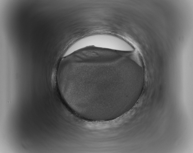 X0000099570009200805301549