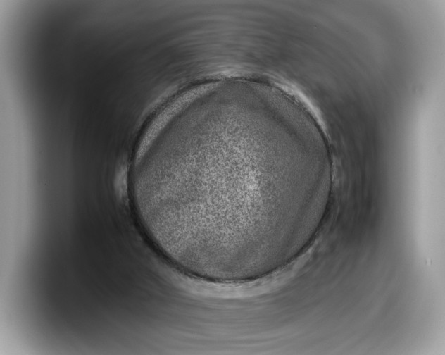 X0000099570010200805301549