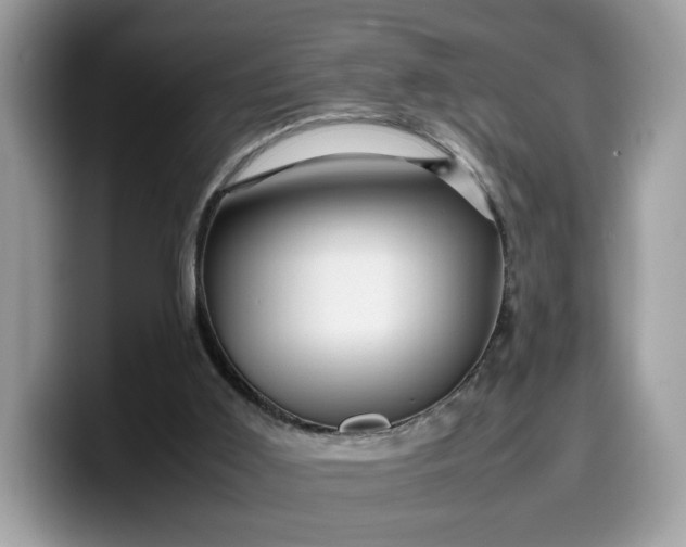 X0000099570011200805301549