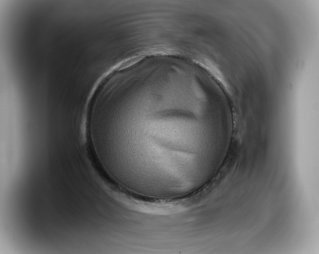 X0000099570012200805301549