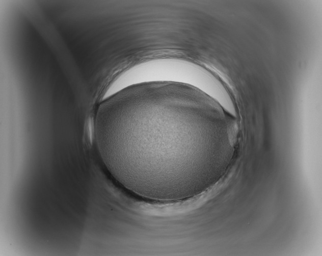 X0000099570013200805301549