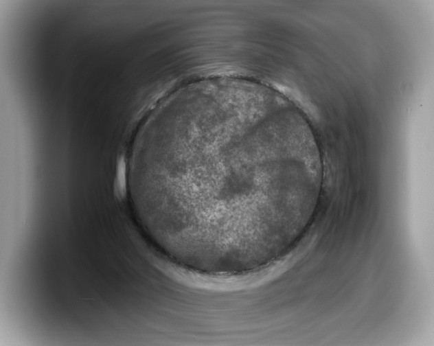 X0000099570014200805301549