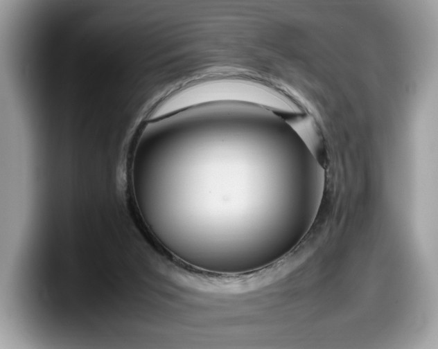 X0000099570015200805301549