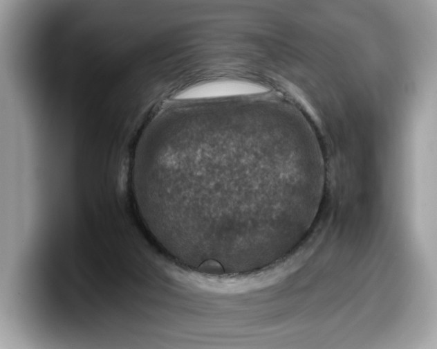 X0000099570018200805301549