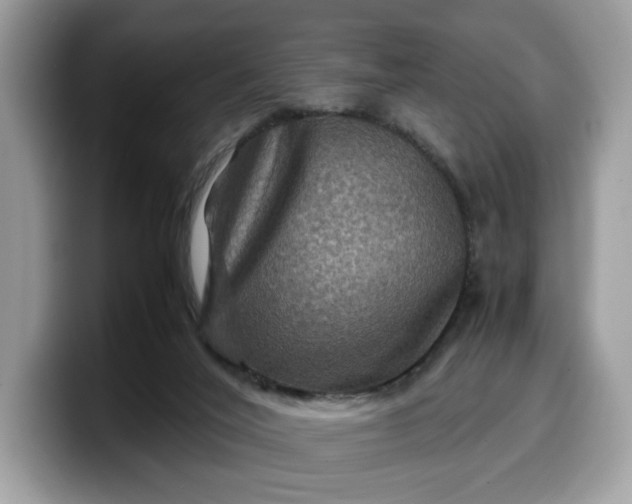 X0000099570020200805301549