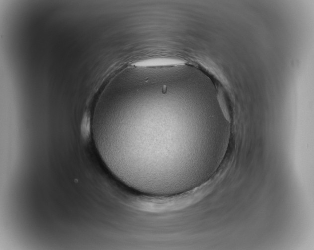 X0000099570021200805301549