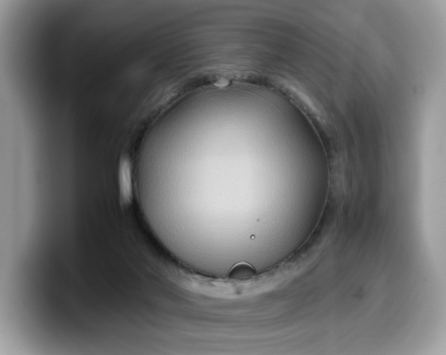 X0000099570022200805301549