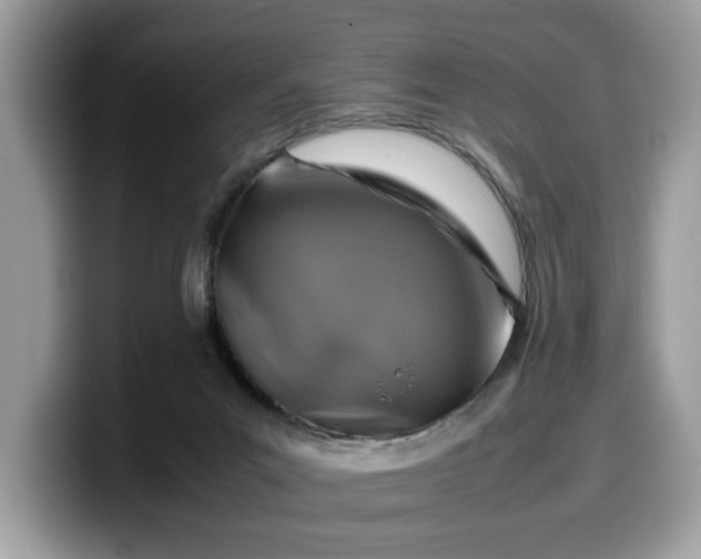 X0000099570023200805301549