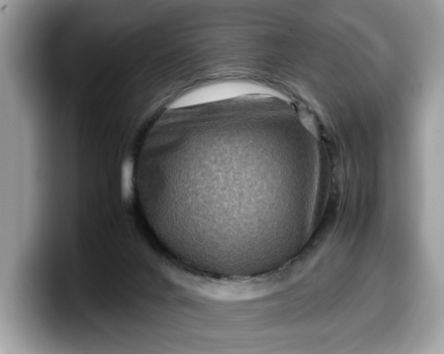 X0000099570024200805301549